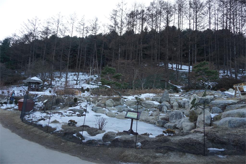 快新聞／南韓寒流來襲！首爾創64年最低溫、「冰點」比往年早17天