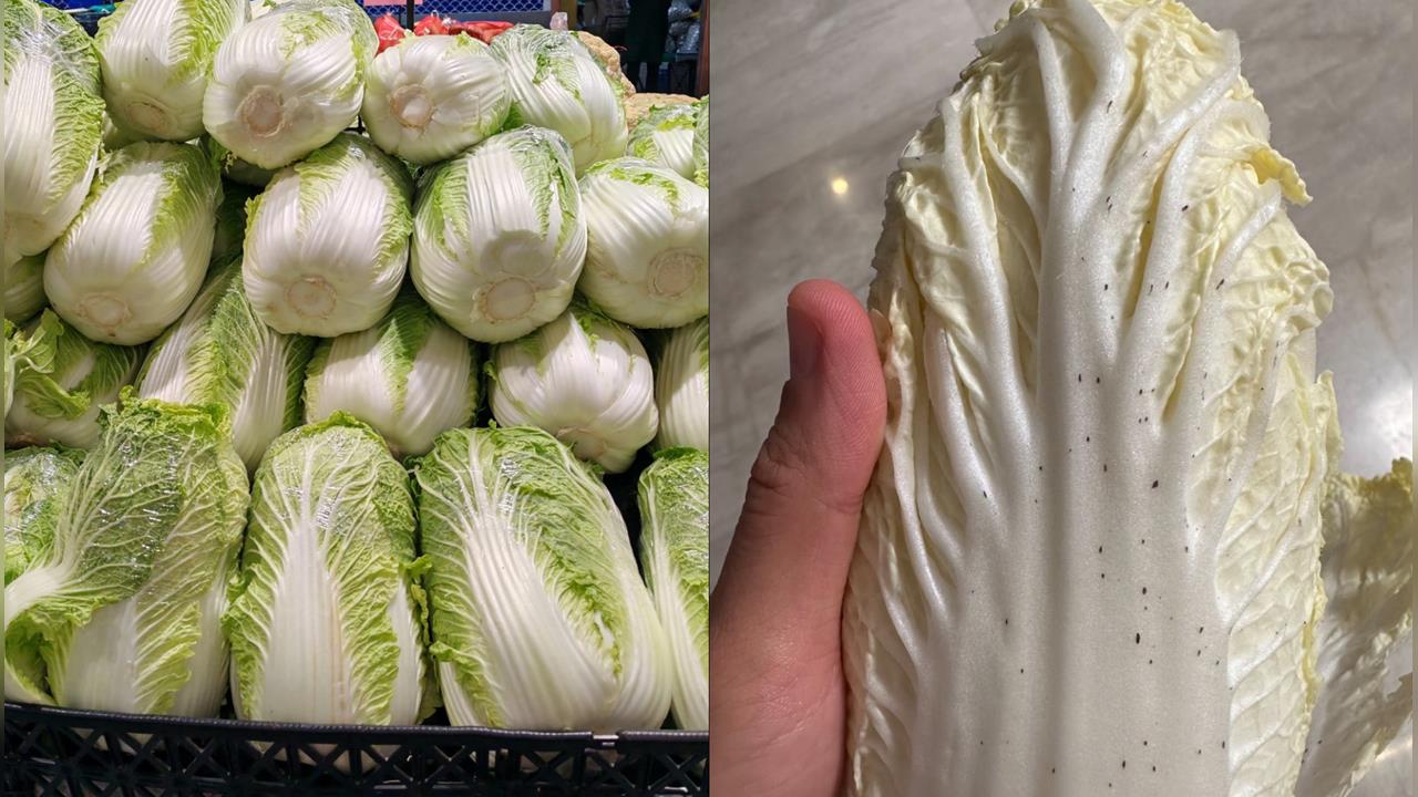 火鍋必備大白菜「長黑點」能吃？網紅菜販揭真相教戰「4挑選原則」