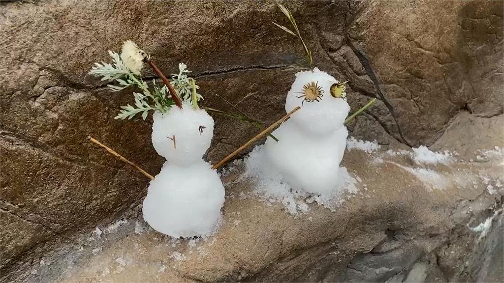 快新聞／合歡山武嶺清晨「雨夾冰霰」　公路局：8時起限加掛雪鏈上山