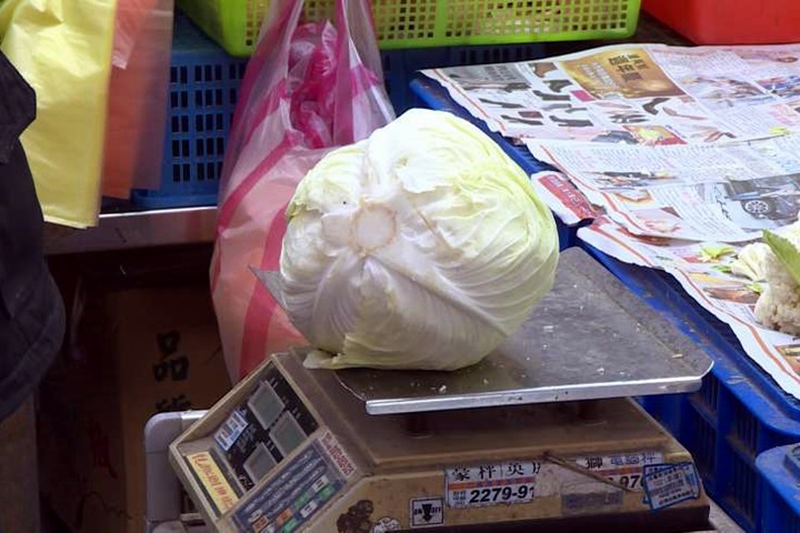 菜價仍低檔!高麗菜13元 四季豆只剩60元