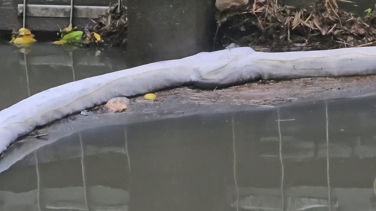 快新聞/監測失靈?基隆河「出現油味」遭疑未公告 台水應變措施全說了