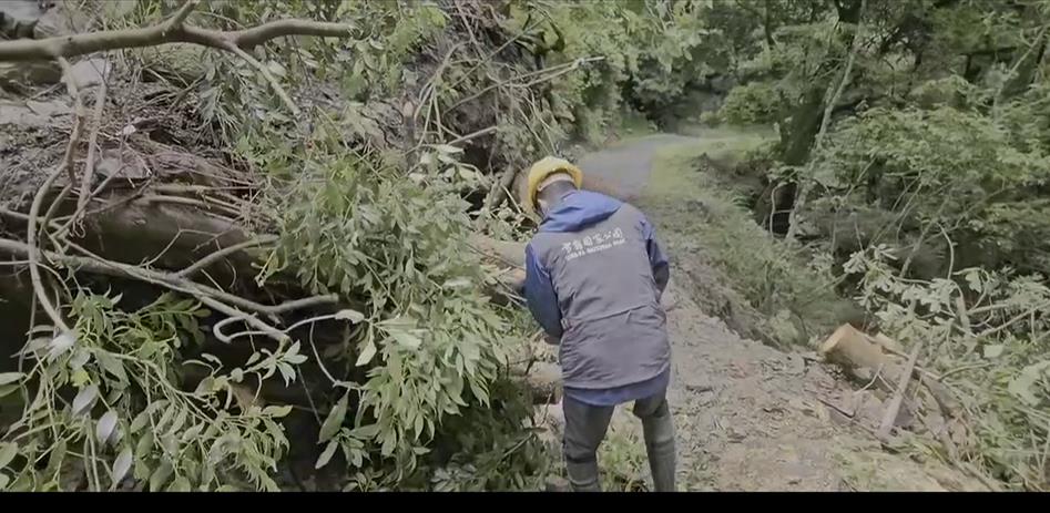 大雨釀多處坍方落石！　大鹿林道東線「暫禁自行車」