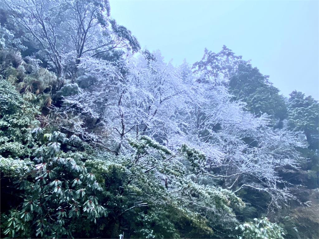 快新聞／太平山凌晨低溫降至0度　迎來今年首場冰霰！