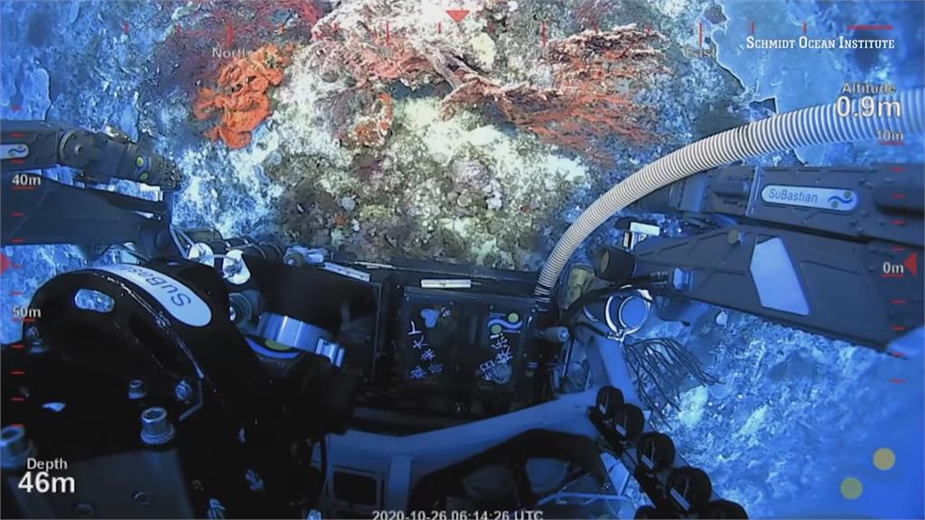 跟101一樣高！澳洲大堡礁海域發現巨大珊瑚礁