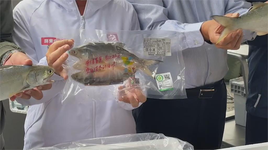 自救！屏東午仔魚養殖業者開發市場通路　縣府祭補助