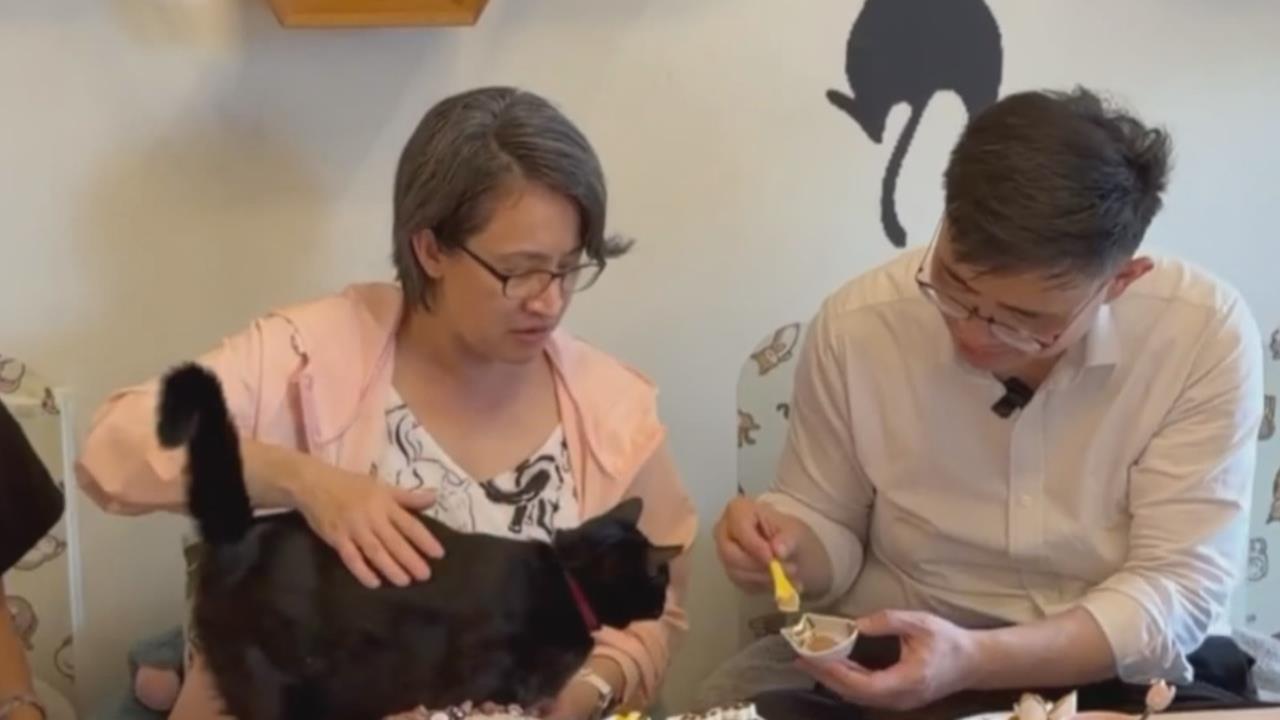 蕭美琴連3天助陣！　賴瑞隆推「人寵共好」政見造福毛孩家庭