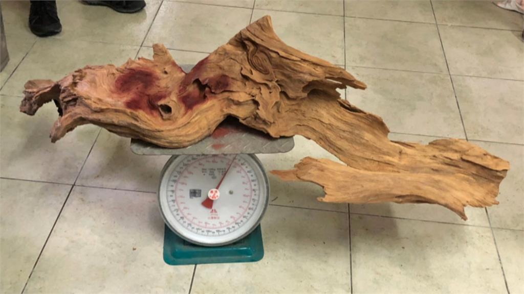 盜伐台灣肖楠木699公斤 警追查7個月逮山老鼠