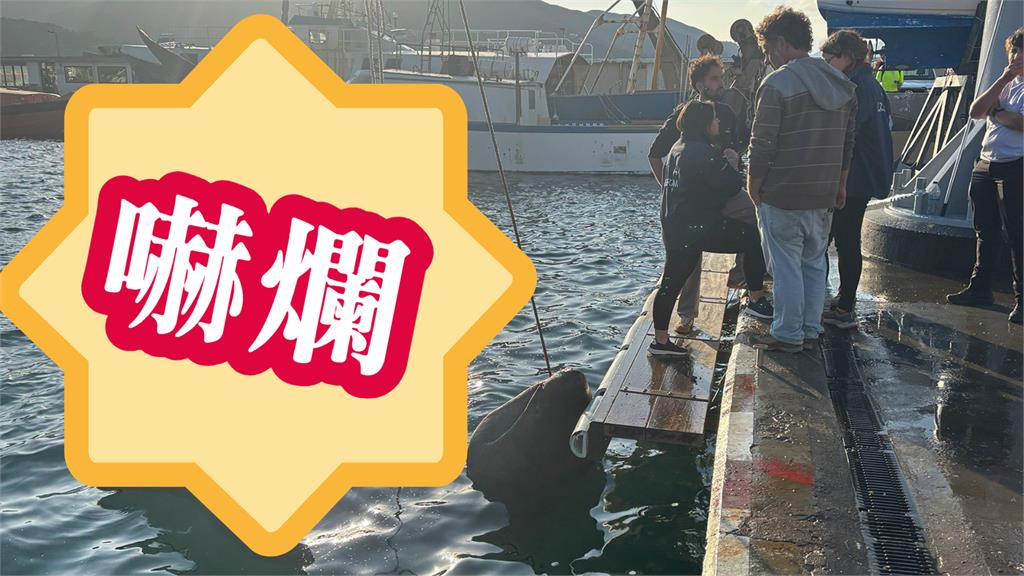 全球強震頻發！西班牙漁民捕獲「6.7公尺海地巨獸」震撼片瘋傳…專家揭「超危真相」