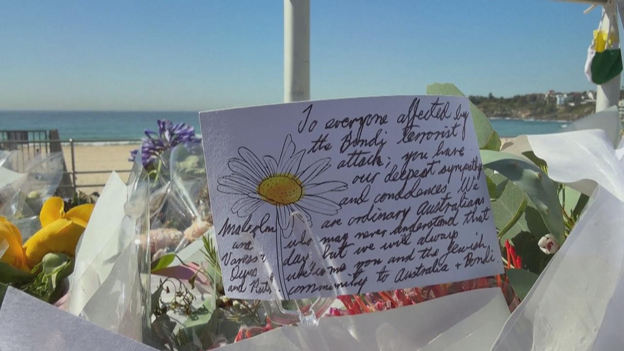 澳洲邦迪海灘槍擊15死　民眾海上圍圈悼念