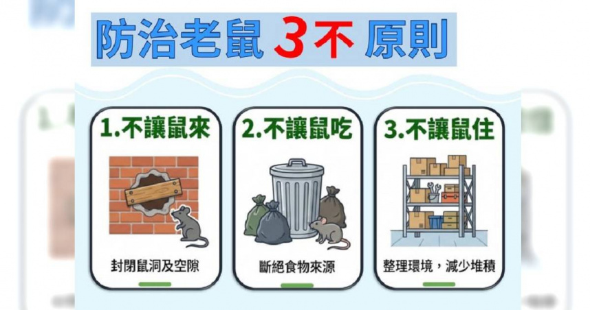 北市鬧鼠害!市府詢問「荷爾蒙藥劑」可行性 環境部回應了