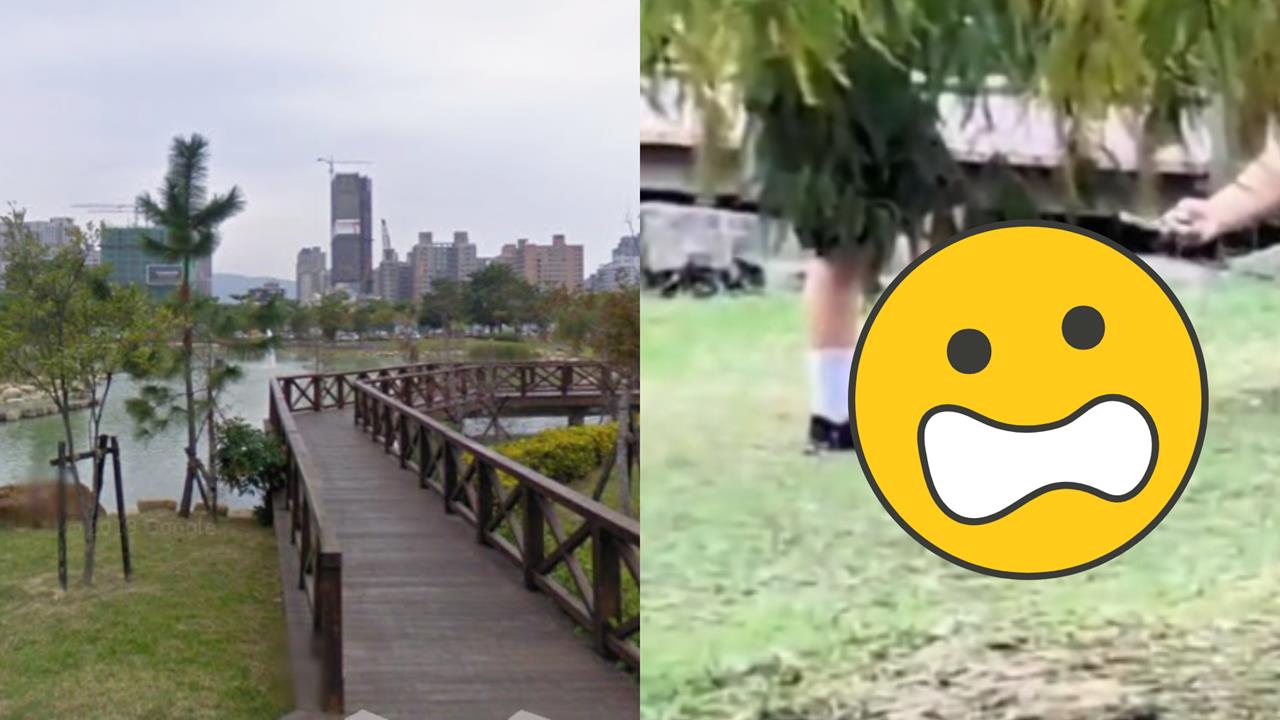 高雄4學生公園「踩踏、戳弄」虐魚畫面曝！環保局：最高開罰6000元