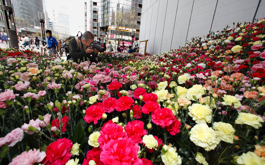 日本母親節後下月父親節 禮物買「成套」