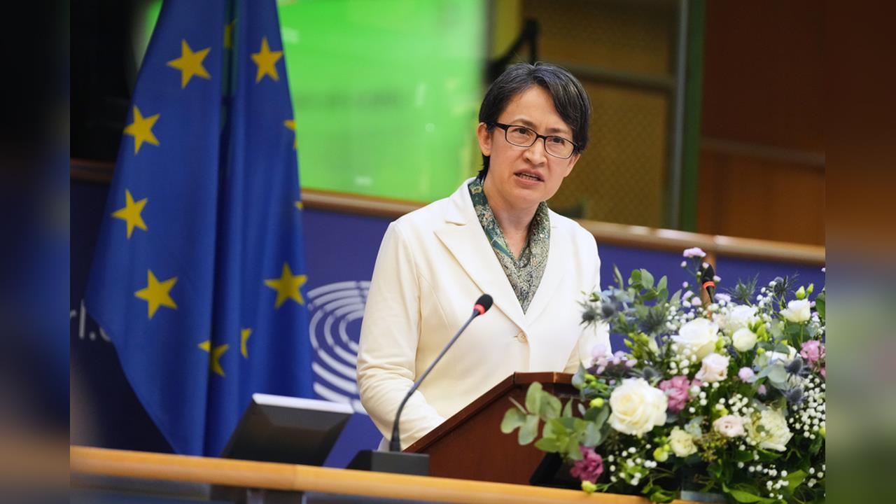 副總統歐洲議會演說 徐國勇:對台灣自由民主最大鼓勵