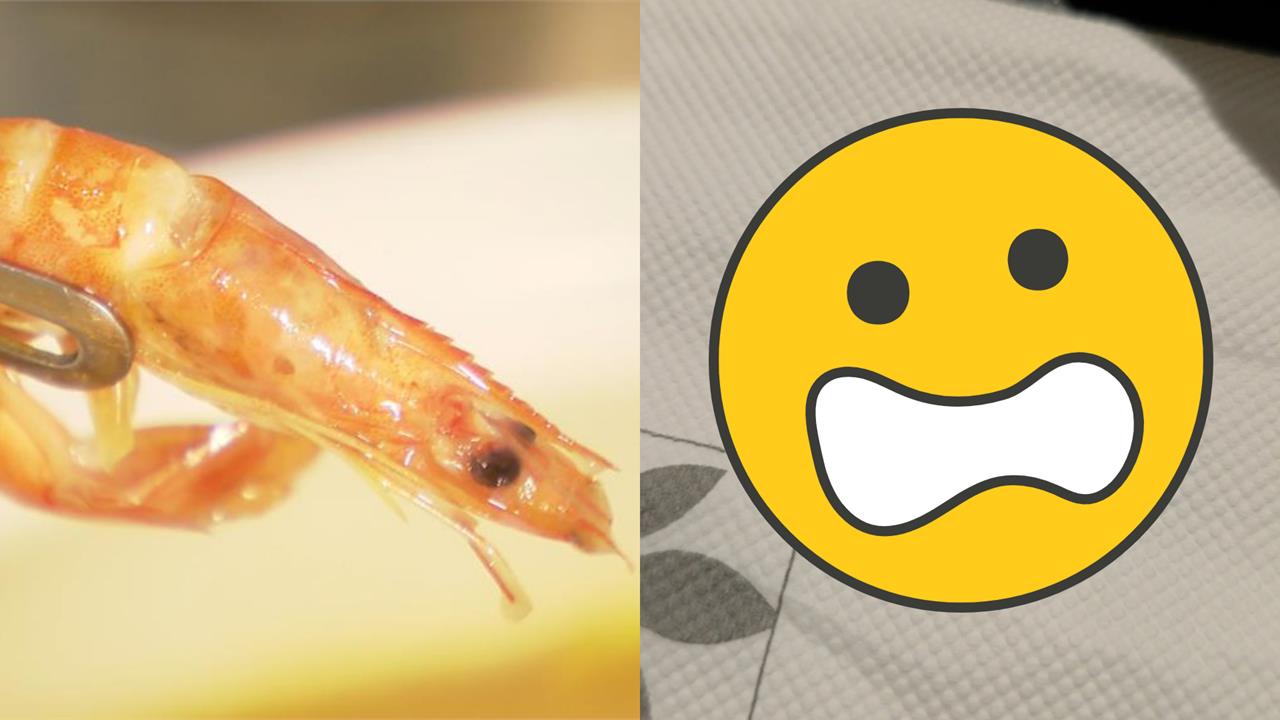 情侶吃Buffet竟「咬到整隻蟑螂腳」！主廚狂跳針喊「是蝦子腳」超噁對比圖曝光