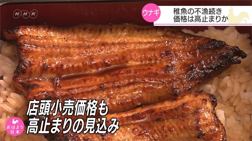 鰻魚價飆漲吃不到！日本捕撈量創6年新低