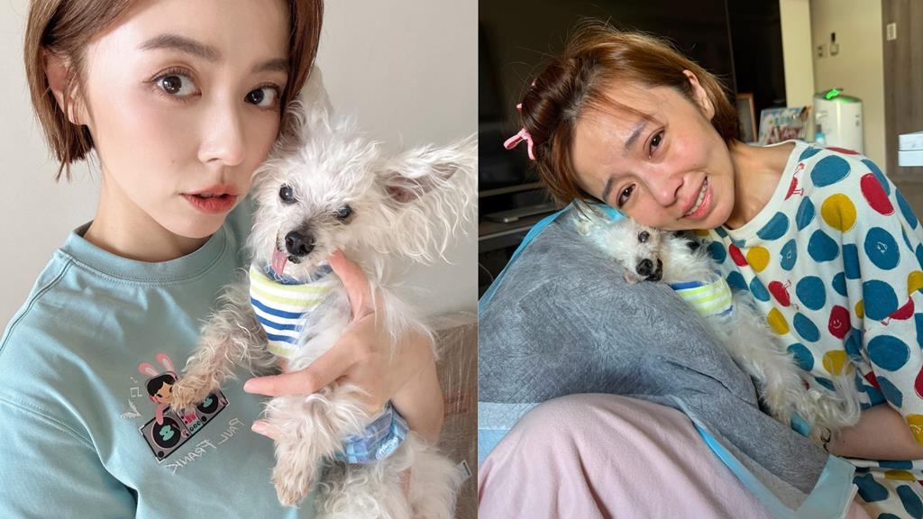 王瞳痛失摯愛！12歲愛犬「哈嚕」離世 淚喊：去找艾成爸比