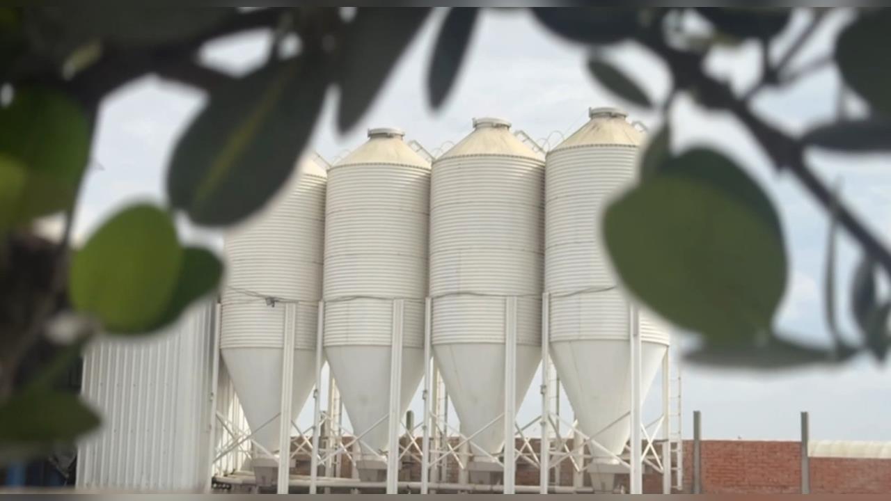 問題蛋流入市面！　綠營群起圍攻彰縣府管控失靈