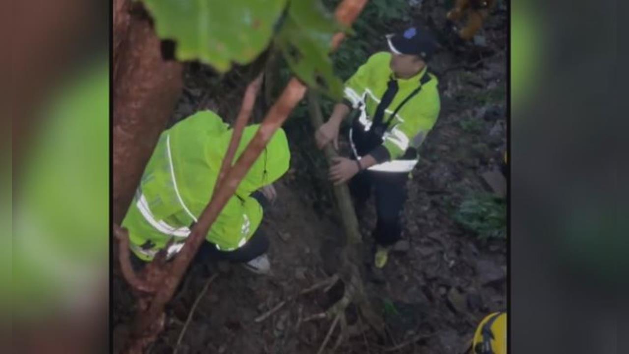 爬龍門谷摔落邊坡!腳扭傷受困2天沒水喝 呼喊路人聽到