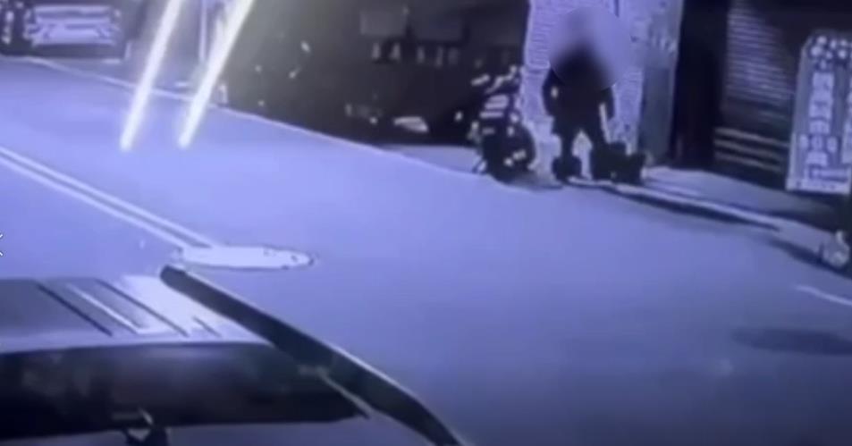 以為在玩皮克敏？ //花蓮男沿路偷盆栽亂丟