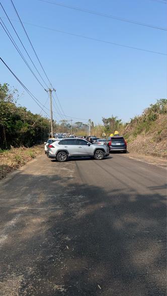 門票0元快衝! 台中螢火蟲聖地「東勢林場」吸大批民眾