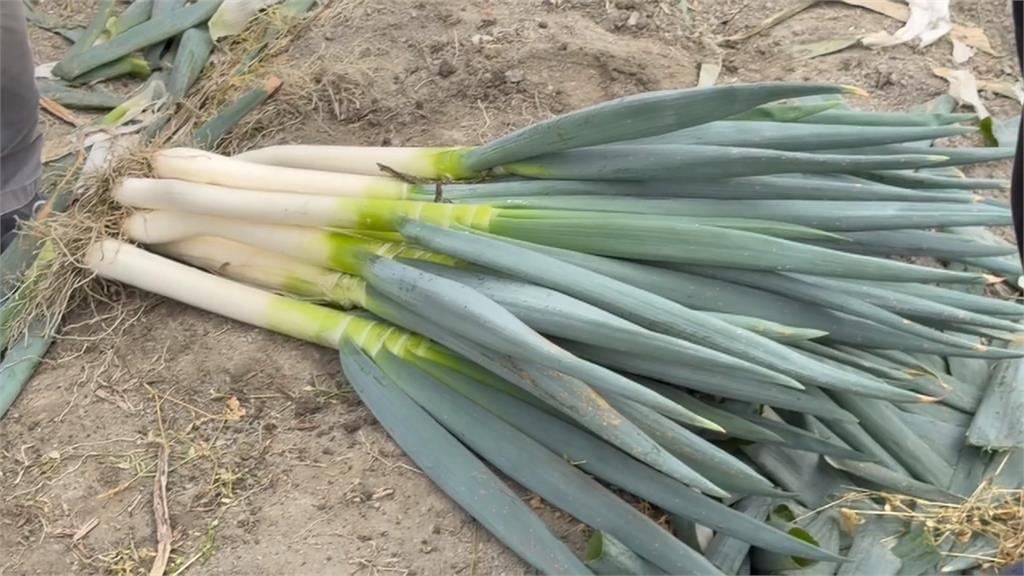 惡劣! 假豐原農會社群賣大蔥 正牌澄清:勿受騙