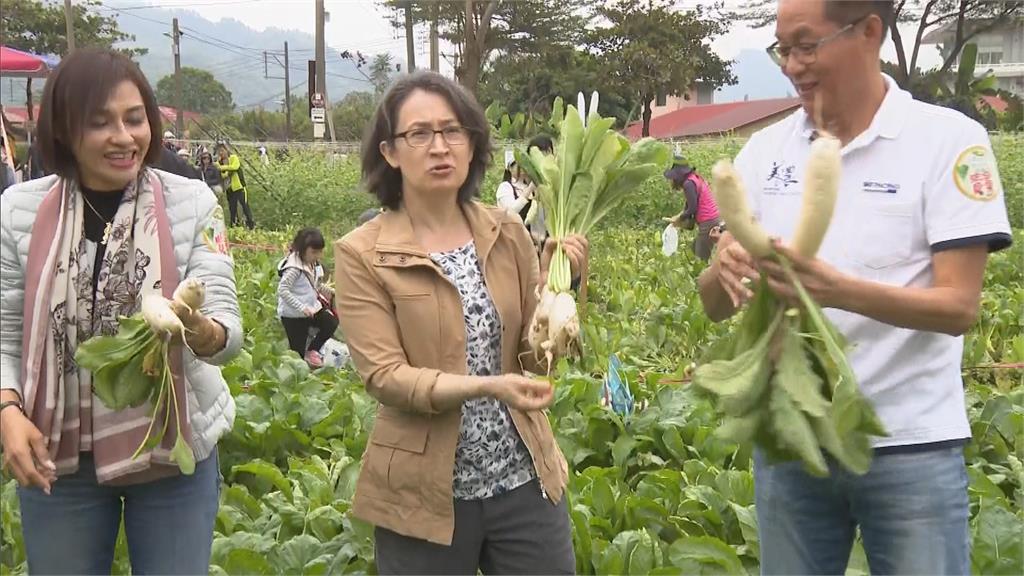 擔任一日駐「美」大使　副總統蕭美琴親自體驗拔蘿蔔