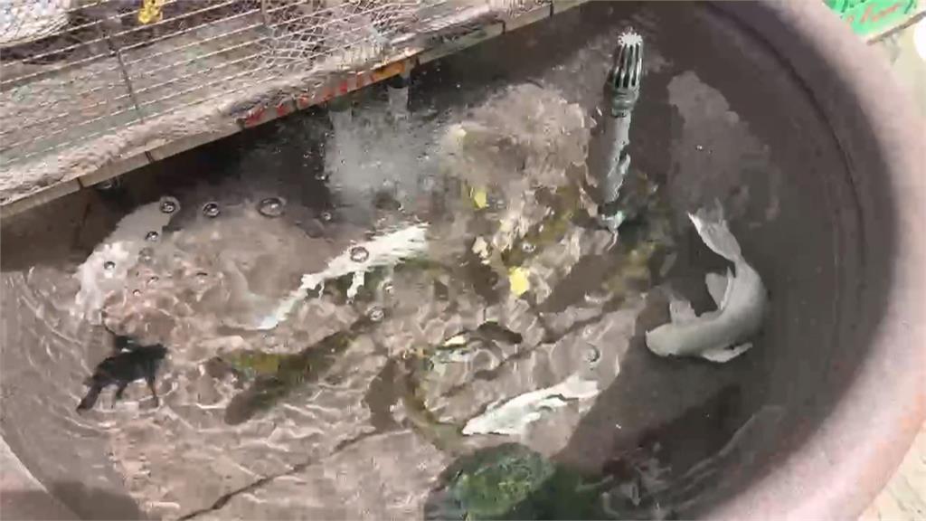 悲傷母親節! 男疑經濟問題遭岳家挖苦衝動殺妻
