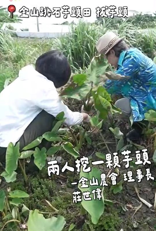 快新聞／蘇巧慧帶蕭美琴「玩」金山！拋新皇冠計劃　串起8大沿海鄉鎮