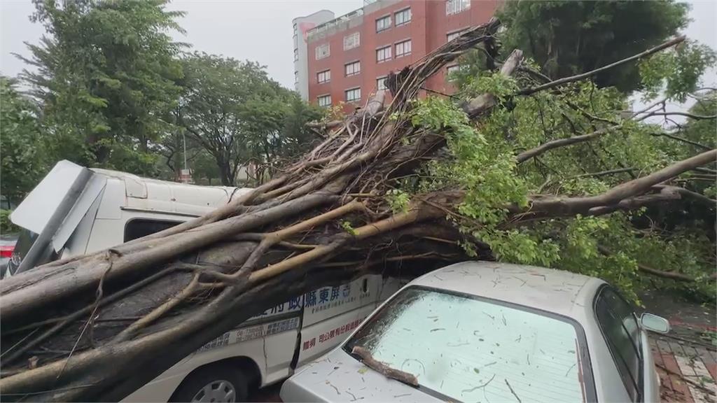 高雄、台南上千處路樹遭吹斷　民宅、招牌被砸中