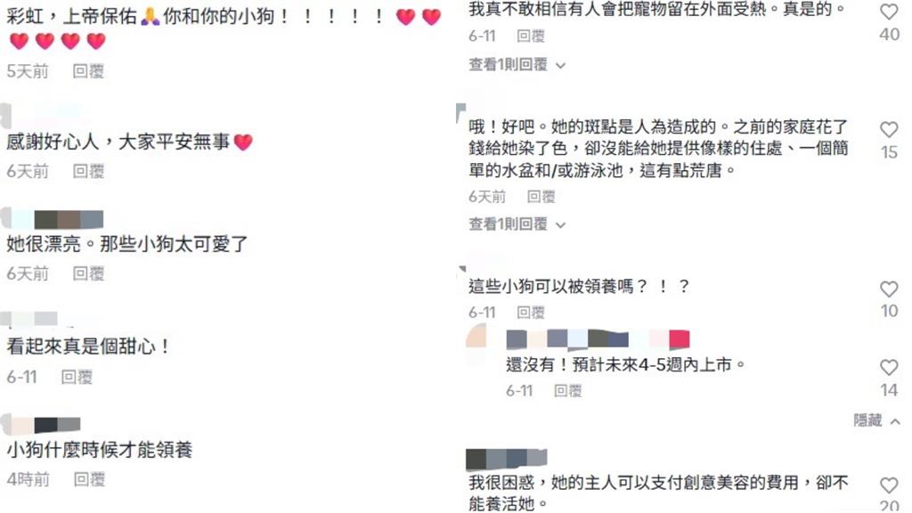 路邊驚見「七彩豹」被栓欄杆高溫曝曬…搶救發現竟是「體重過輕」比特犬!
