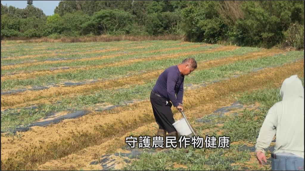 農作物生病也有醫生看! 桃13區農會唯一植物診療師在觀音