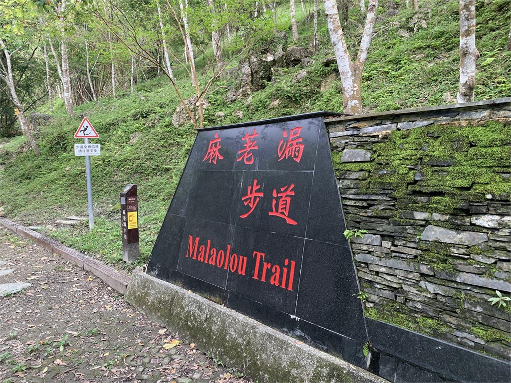 快新聞／楊柳颱風逼近！　林業署台東分署預警封閉多處步道、林道