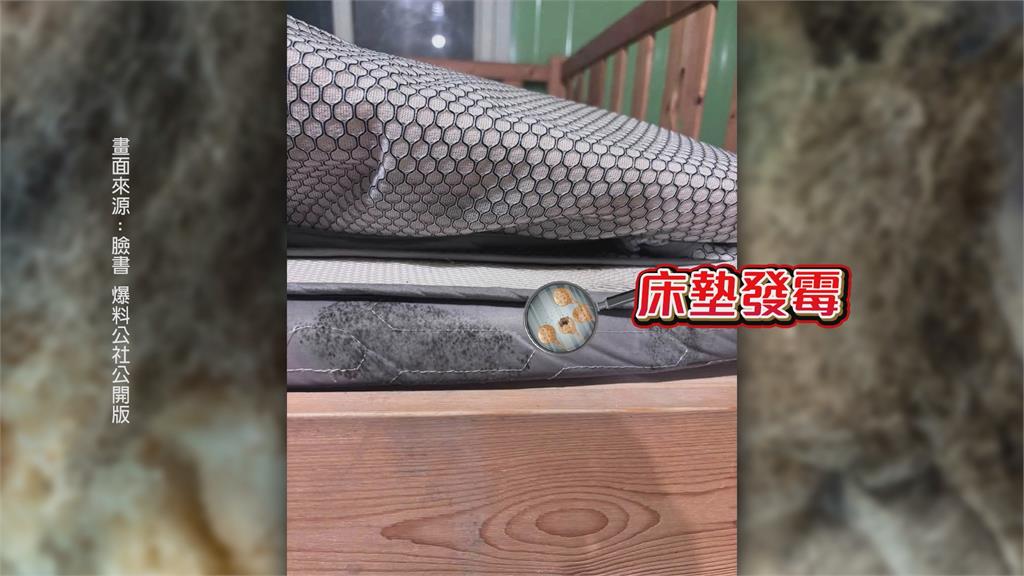 南投集集露營區民宿　1晚4千元住到「發霉房」螞蟻爬上床