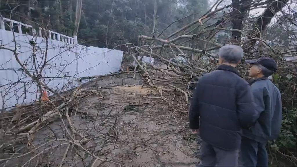 南投「地理中心碑」10米高大樹倒伏　壓傷4名晨運長者緊急送醫