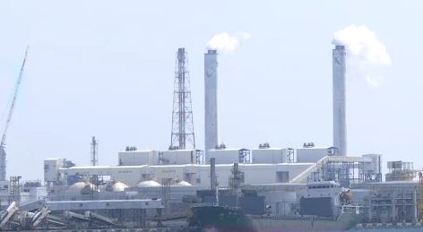 金蛇續旺 15檔個股蛇舞春風