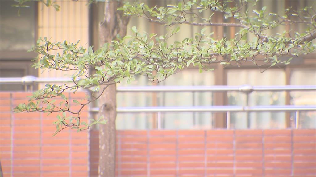 新北割頸案提「讓加害者孝順死者父母」惹眾怒　高院發聲明澄清