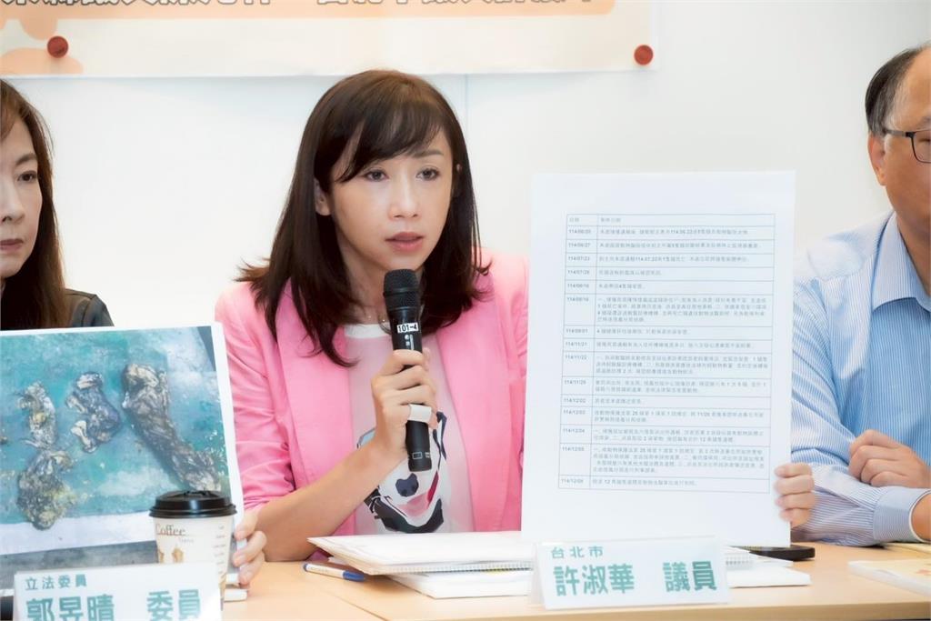快新聞／堅決不甩中國打壓！傳「這國」總統親邀蕭美琴出訪　綠營議員回應了