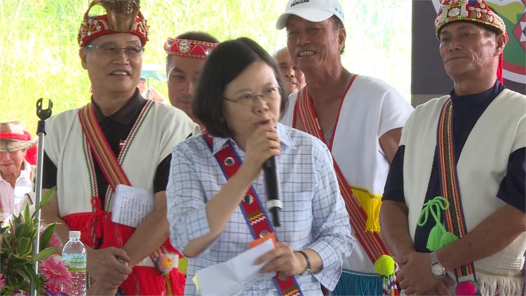 誤會大了! 蔡易餘鄒族名Voyu 用AI一查意為"山豬"?