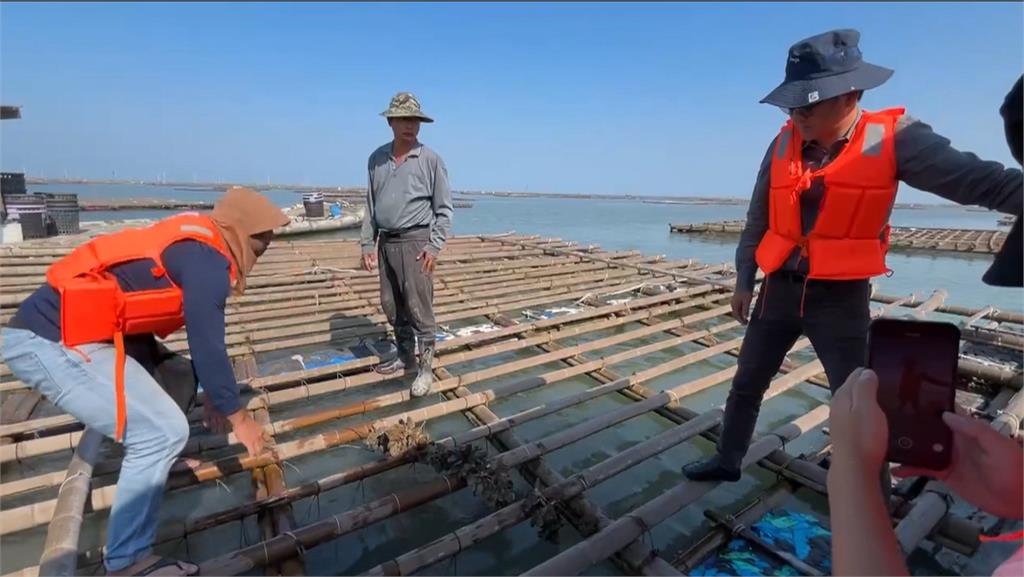 雲林牡蠣大量死亡　劉建國、張嘉郡前後勘災爭補助
