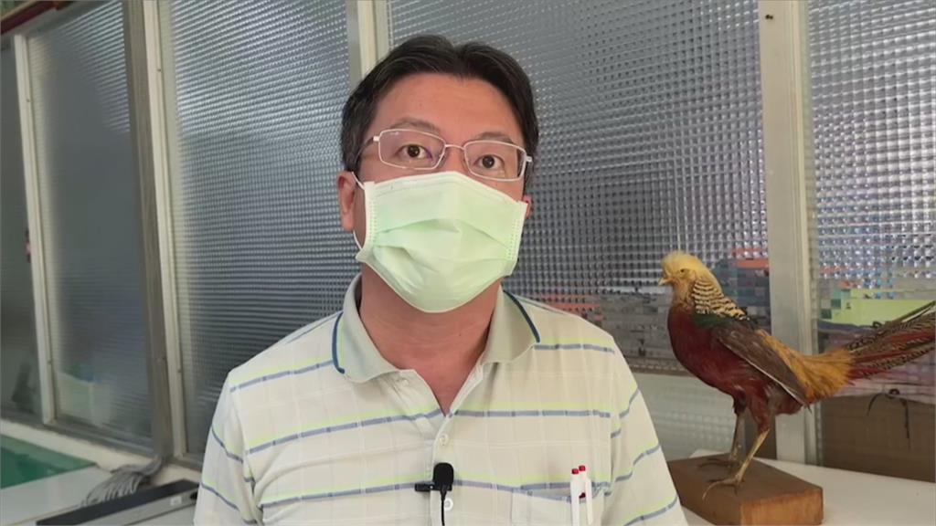 台南都會公園「超派鵝群」狂追 爺爺把「孫女當武器」飛踢擊退