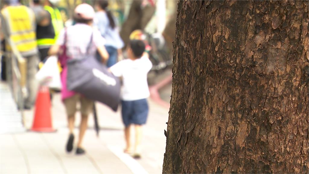 駭客入侵!北市幼兒園官網成中國網站 市府竟毫無察覺 議員憂資安疑慮