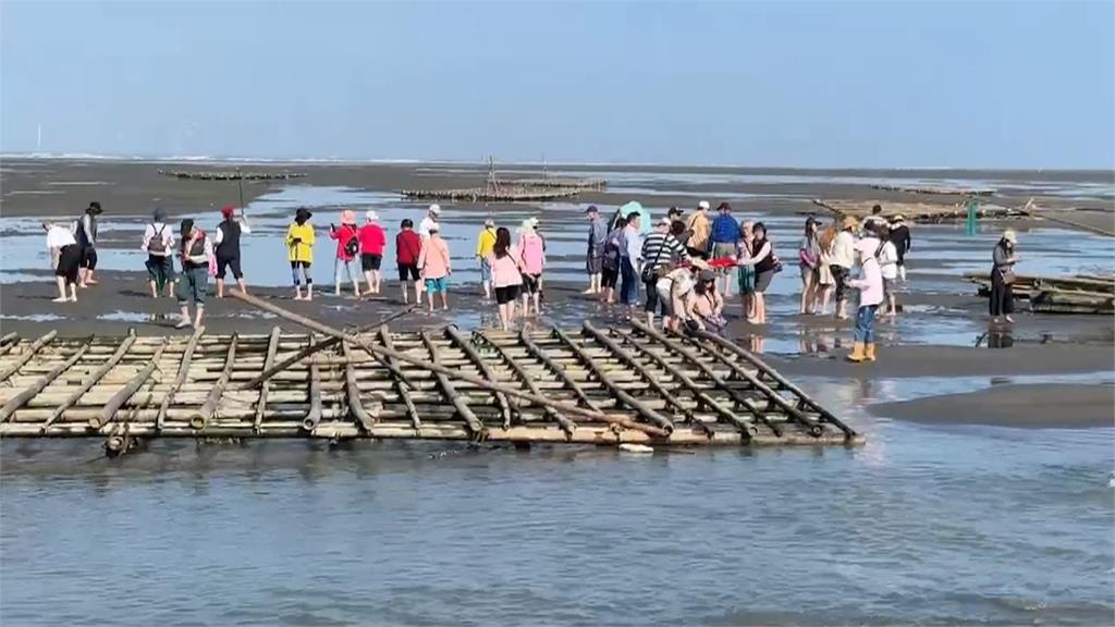 外傘頂洲流失嚴重　面臨消失危機　觀光、養蚵產業首當其衝