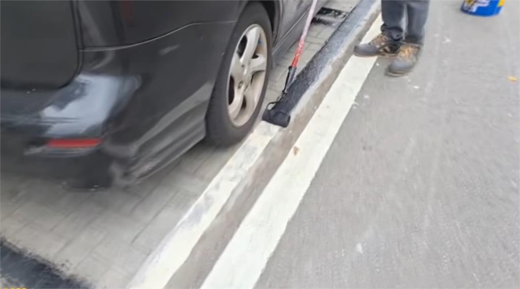 另類空襲警報！基隆鷺鷥繁殖季到　轎車布滿鳥糞