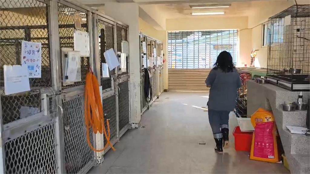 苗栗犬舍9成犬遭割聲帶案 米可白喊話鍾東錦:等待當初的保證