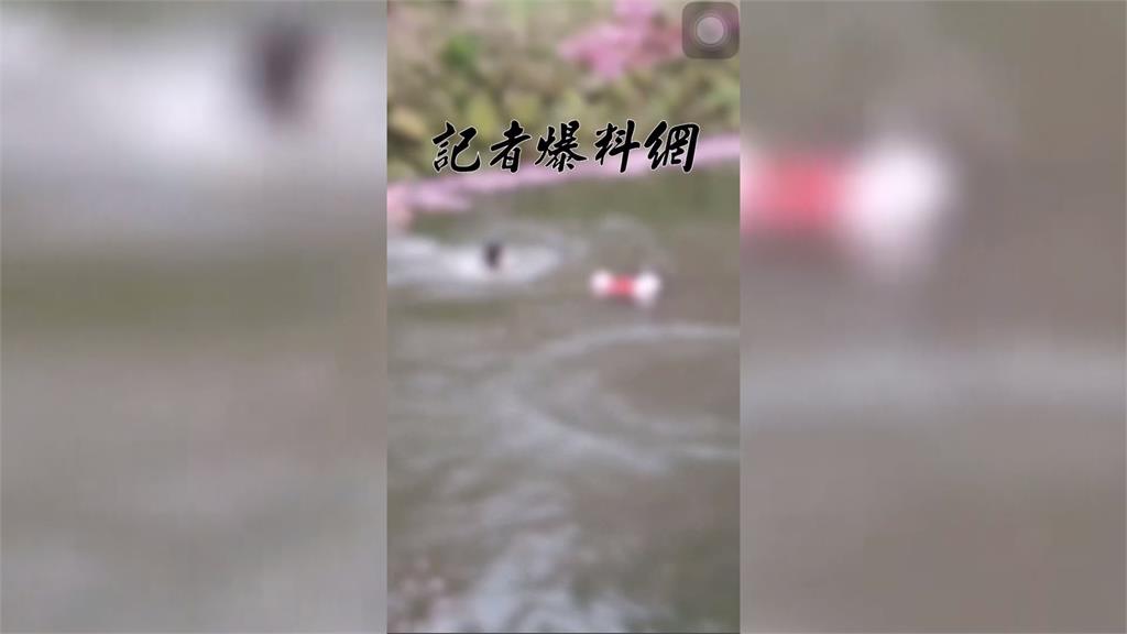 南投竹山森林遊樂園賞櫻傳憾事 7旬婦拍照跌落溪水溺斃