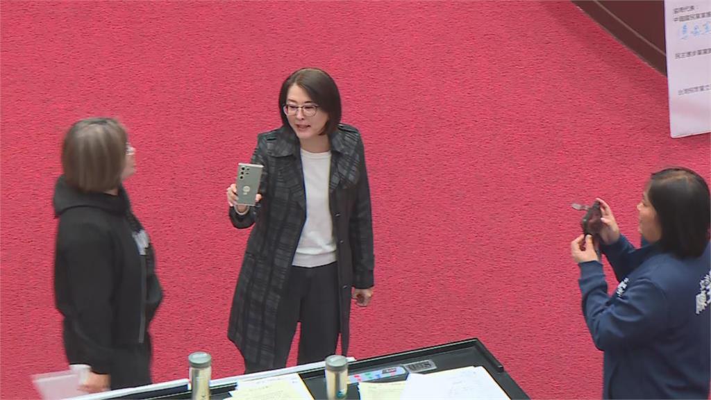 快新聞/立法院最後會期!《黨產條例》藍綠委爆衝突 王義川怒嗆陳玉珍「中國人滾開」