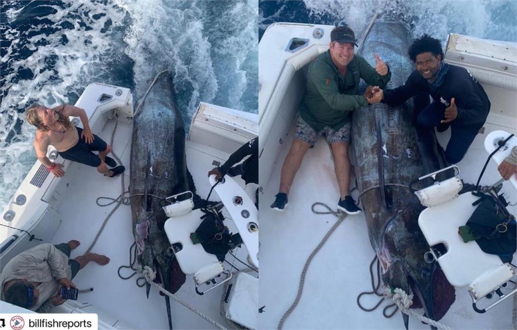 大西洋第二大！3漁夫搏命半小時　釣到「621KG巨魚」身價至少12億