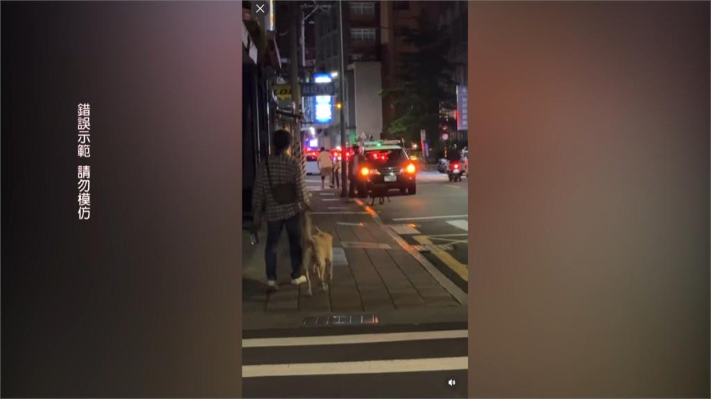 不滿鄰居擋財路 寵物店業者酒後失控怒吼驚動警