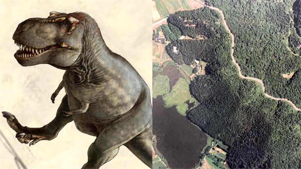 雙連埤國濕地空拍見「恐龍脈」 暴龍?!學者:地理條件得天獨厚