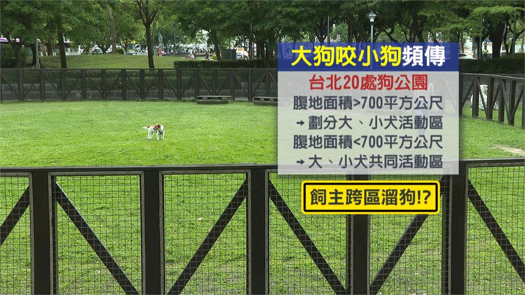 議員曝北市狗公園「大犬咬小犬」 籲動保處全數規劃專門區域